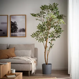 IKEA FEJKA Planta artificiala, interior/exterior/Ficus Benjamina, 23 cm
