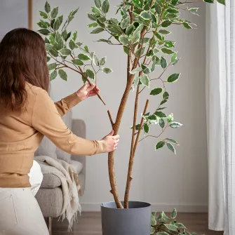 IKEA FEJKA Planta artificiala, interior/exterior/Ficus Benjamina, 23 cm