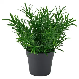 IKEA FEJKA Planta artificiala, interior/exterior/Rozmarin, 9 cm