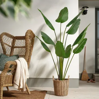 IKEA FEJKA Planta artificiala, interior/exterior/Strelizia Nikolai, 23 cm