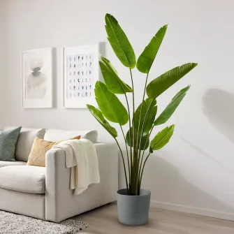 IKEA FEJKA Planta artificiala, interior/exterior/Strelizia Nikolai, 23 cm