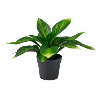 IKEA FEJKA Planta artificiala, interior/exterior/crin de toamna, 9 cm