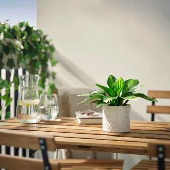 IKEA FEJKA Planta artificiala, interior/exterior/crin de toamna, 9 cm