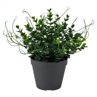 IKEA FEJKA Planta artificiala, interior/exterior/cu flori alb, 12 cm