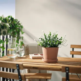 IKEA FEJKA Planta artificiala, interior/exterior/cu flori alb, 12 cm