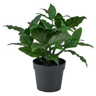 IKEA FEJKA Planta artificiala, interior/exterior/dafin, 9 cm