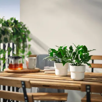 IKEA FEJKA Planta artificiala, interior/exterior/dafin, 9 cm