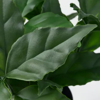 IKEA FEJKA Planta artificiala, interior/exterior/dafin, 9 cm
