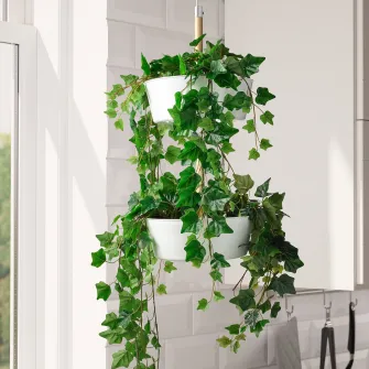 IKEA FEJKA Planta artificiala, interior/exterior/suspendata Iedera, 12 cm