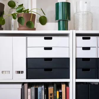 IKEA FJÄDERHARV Organizator 2 sertare, antracit, 32x25 cm