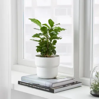 IKEA FÖRENLIG Ghiveci, interior/exterior alb, 12 cm