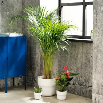 IKEA FÖRENLIG Ghiveci, interior/exterior alb, 24 cm