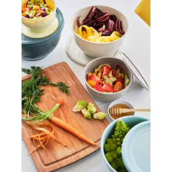 IKEA GARNITYREN Bol cu capac, 5buc, diverse culori