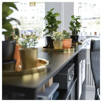 IKEA GLATTIS Tava, alama, 38 cm