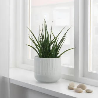 IKEA GRADVIS Ghiveci, gri, 15 cm