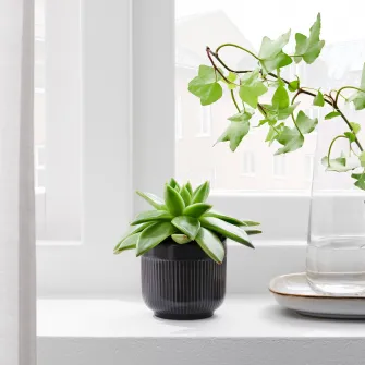 IKEA GRADVIS Ghiveci, interior/exterior negru, 6 cm