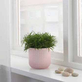 IKEA GRADVIS Ghiveci, roz, 12 cm