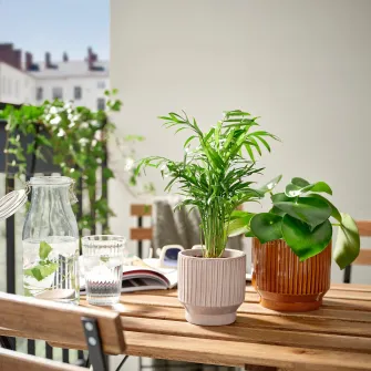 IKEA HONUNGSPALM Ghiveci, interior/exterior/bej, 9 cm