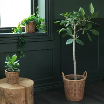 IKEA KAKTUSFIKON Ghiveci, ratan, 24 cm