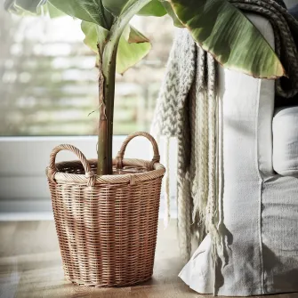 IKEA KAKTUSFIKON Ghiveci, ratan, 24 cm