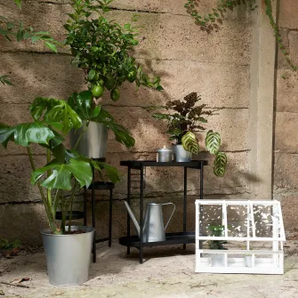IKEA ÅKERBÄR Stropitoare, interior/exterior galvanizat, 2.5 l