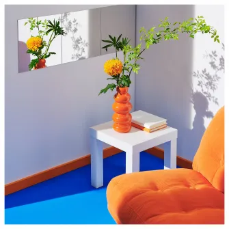 IKEA KÄLLARHALS Vaza, portocaliu, 26 cm