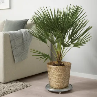 IKEA KLYNNON Ghiveci, lucrat manual bambus, 24 cm