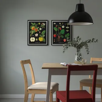 IKEA KNOPPÄNG Rama cu afis, ilustratii botanice/fructe vintage, 40x50 cm