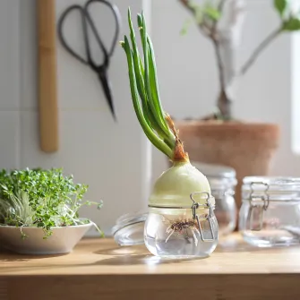 IKEA KORKEN Borcan cu capac, sticla transparenta, 0.5 l