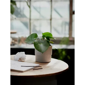 IKEA NYPON Ghiveci, interior/exterior gri, 12 cm