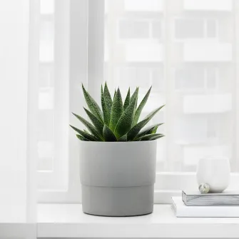 IKEA NYPON Ghiveci, interior/exterior gri, 15 cm