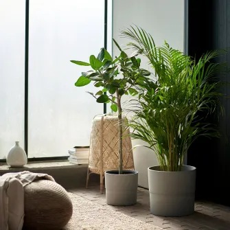 IKEA NYPON Ghiveci, interior/exterior gri, 24 cm