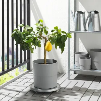IKEA NYPON Ghiveci, interior/exterior gri, 24 cm