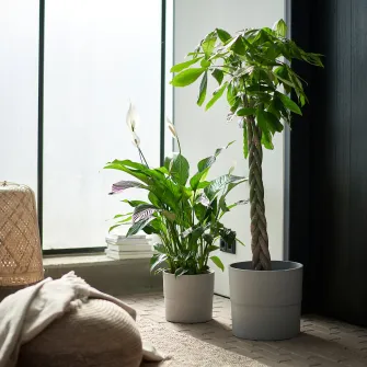 IKEA NYPON Ghiveci, interior/exterior gri, 32 cm