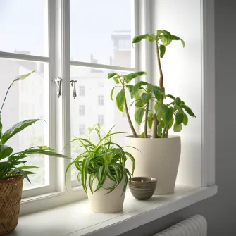 IKEA PERSILLADE Ghiveci, bej deschis, 12 cm