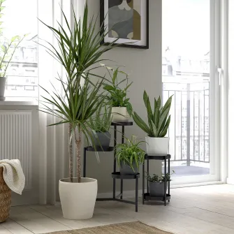 IKEA PERSILLADE Ghiveci, bej deschis, 19 cm