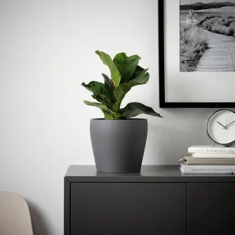 IKEA PERSILLADE Ghiveci, gri inchis, 15 cm