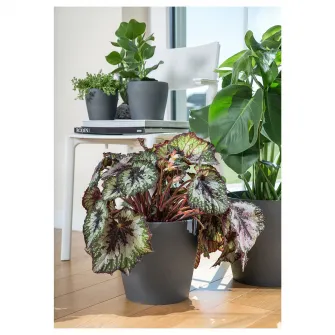IKEA PERSILLADE Ghiveci, gri inchis, 19 cm
