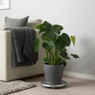 IKEA PERSILLADE Ghiveci, gri inchis, 19 cm