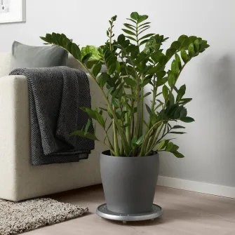 IKEA PERSILLADE Ghiveci, gri inchis, 24 cm