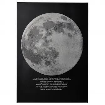 IKEA PJÄTTERYD Tablou, lumina lunii, 50x70 cm