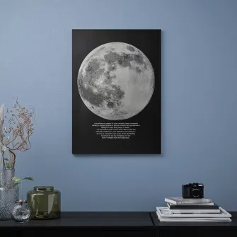 IKEA PJÄTTERYD Tablou, lumina lunii, 50x70 cm