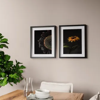 IKEA RÖDALM Rama cu afis, floarea-soarelui, 40x50 cm