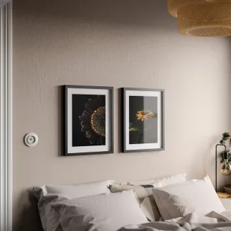IKEA RÖDALM Rama cu afis, floarea-soarelui, 40x50 cm