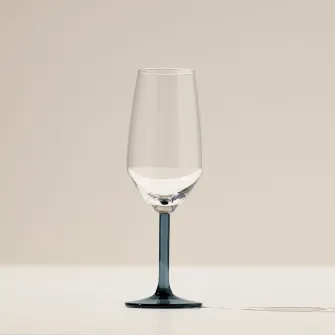 IKEA RÖDRÄKA Pahar sampanie, albastru-gri/sticla transparenta, 25 cl