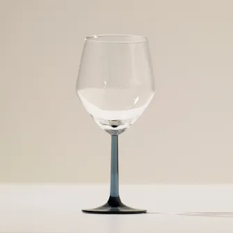 IKEA RÖDRÄKA Pahar vin, albastru-gri/sticla transparenta, 50 cl