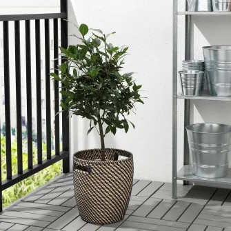 IKEA RÅGKORN Ghiveci, interior/exterior gri inchis/bej, 24 cm