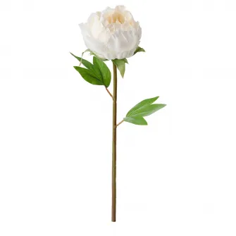 IKEA SMYCKA Floare artificiala, Bujor ( Paeonia)/alb, 30 cm