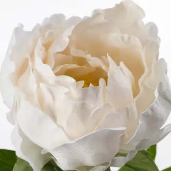 IKEA SMYCKA Floare artificiala, Bujor ( Paeonia)/alb, 30 cm