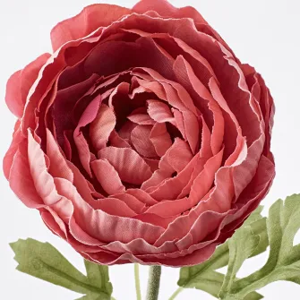 IKEA SMYCKA Floare artificiala, Ranunculus/roz inchis, 52 cm